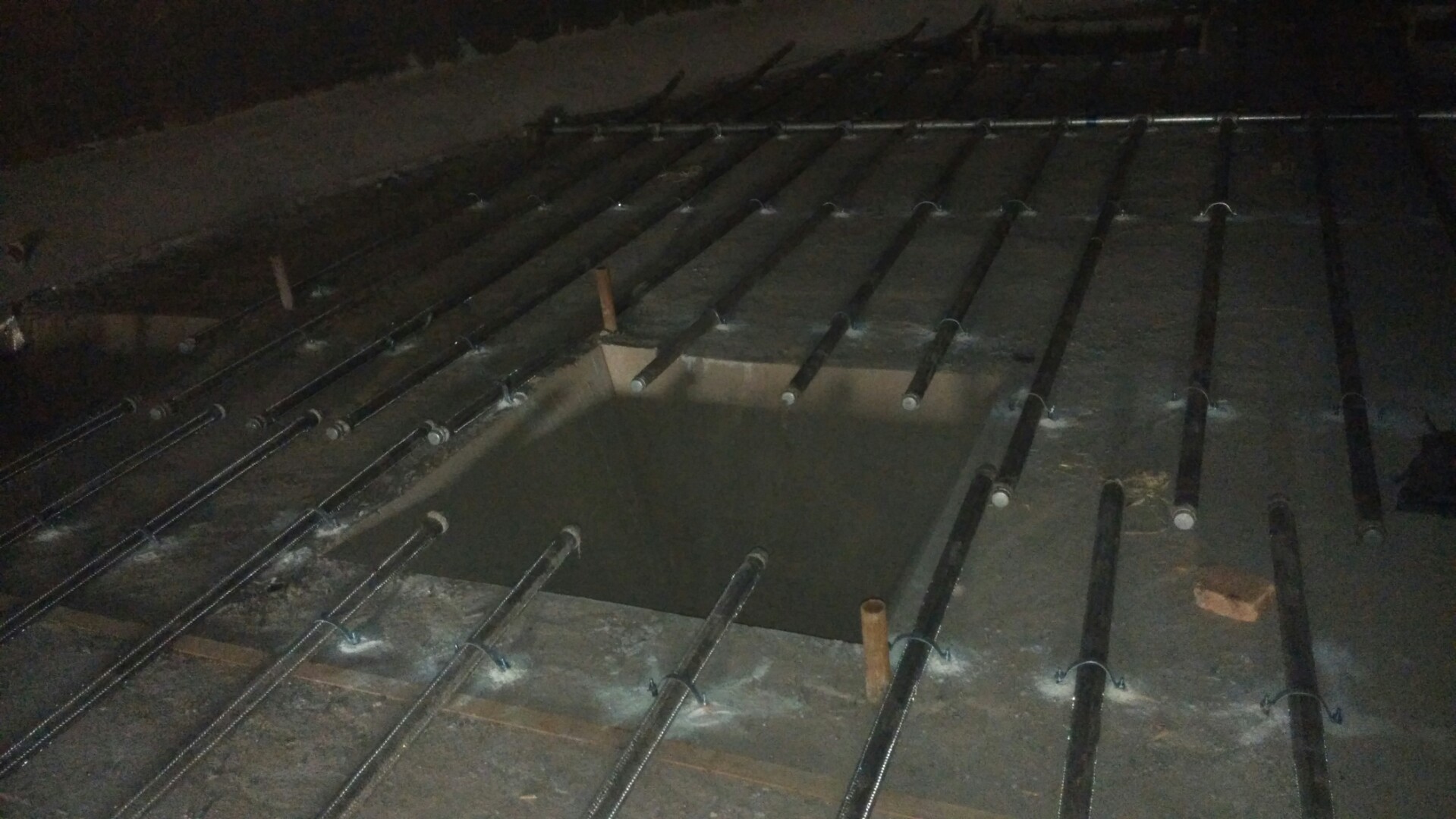 白鹭湖管理区流化棒