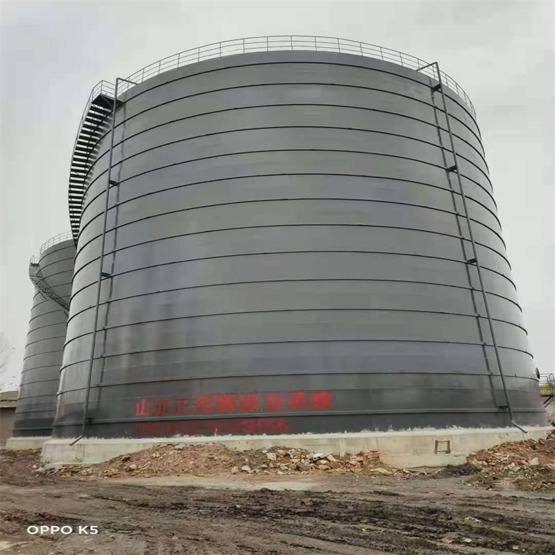 白鹭湖管理区3万吨大型钢板库